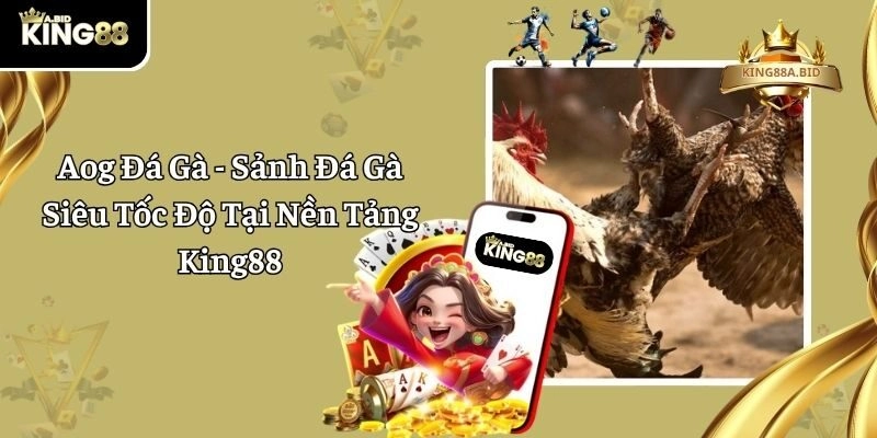 Aog Đá Gà - Sảnh Đá Gà Siêu Tốc Độ Tại Nền Tảng King88