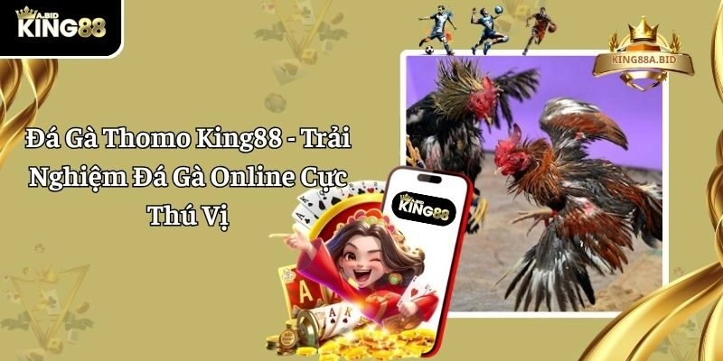 Đá Gà Thomo King88 - Trải Nghiệm Đá Gà Online Cực Thú Vị