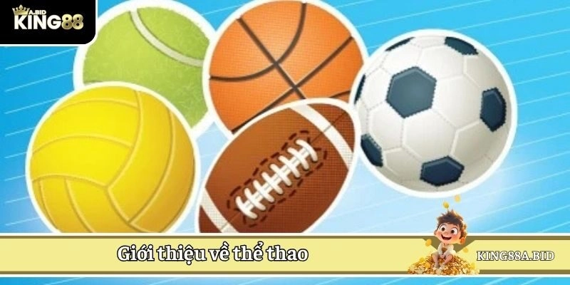 Giới thiệu về thể thao