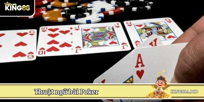 Phổ cập các thuật ngữ thường gặp