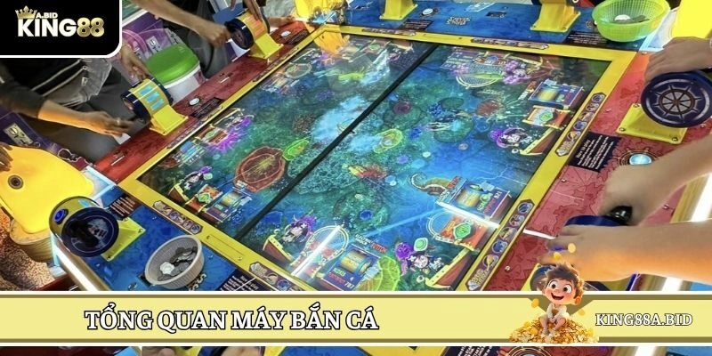 Tổng quan về máy săn cá